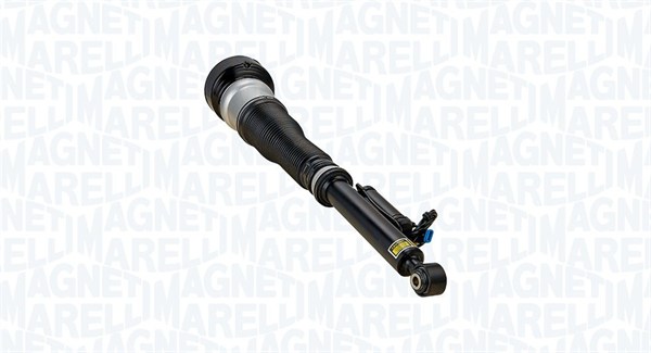 Air Suspension Strut (350491500001)