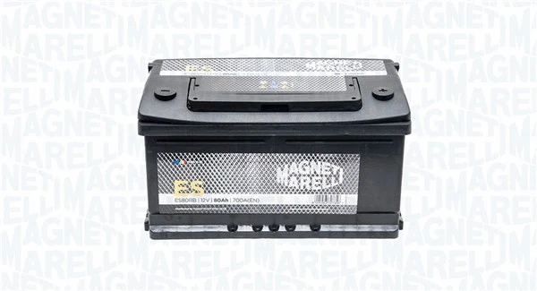 Starter Battery