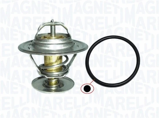 Thermostat, coolant (352317101000)