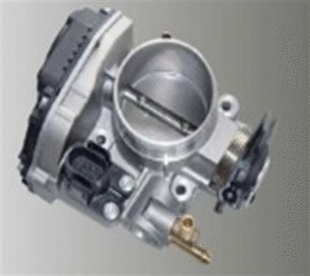 Throttle Body (359000602780)