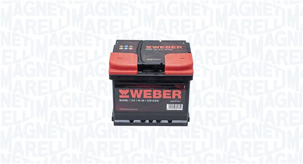 Starter Battery