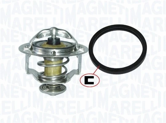 Thermostat, coolant (352317100550)