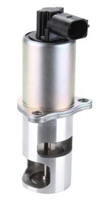 EGR Valve (359000603660)