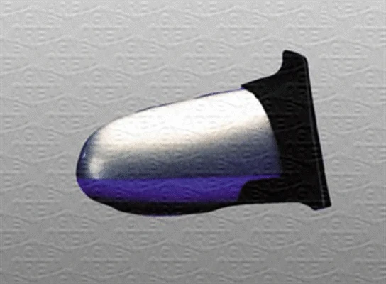 Exterior Mirror (351991113910)