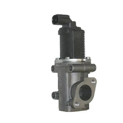 EGR Valve (571822112004)