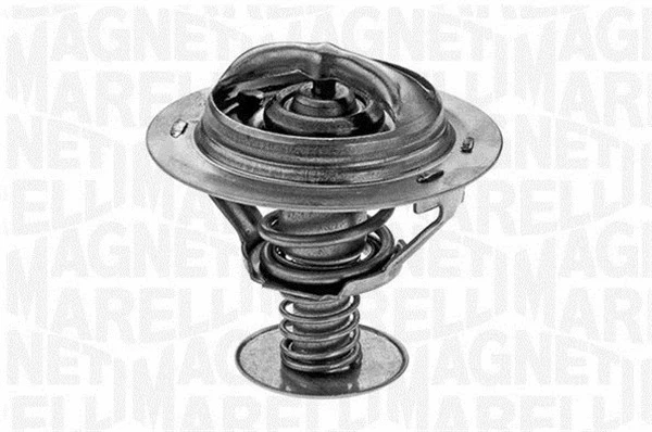 Thermostat, coolant (352041082000)