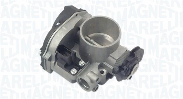Throttle Body (802000000048)