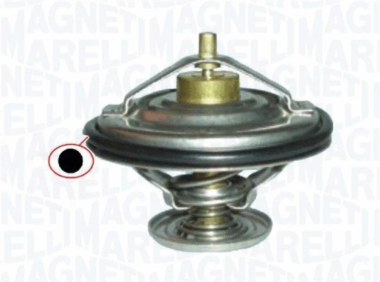 Thermostat, coolant (352317100130)