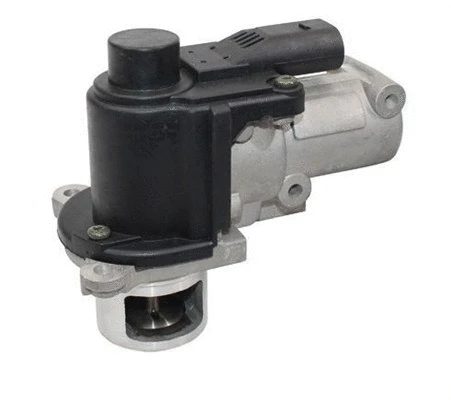 EGR Valve (359000604700)