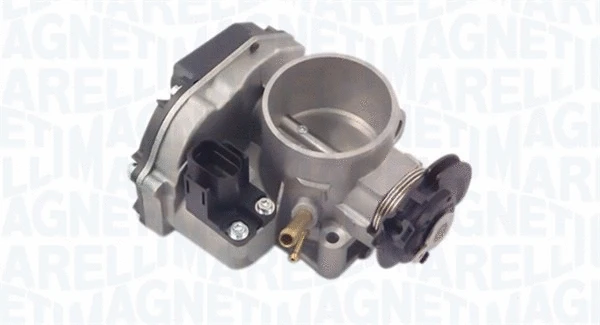 Throttle Body (802000000095)