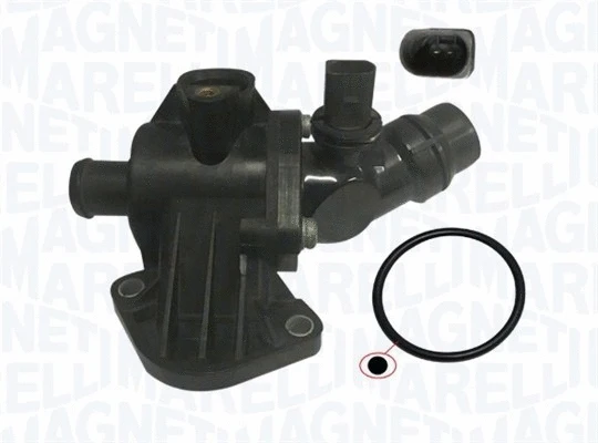 Thermostat, coolant (352317102180)