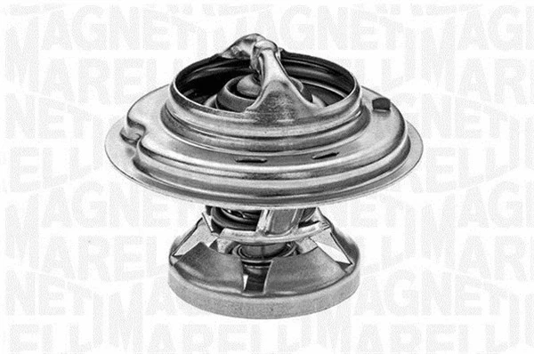 Thermostat, coolant (352025179000)