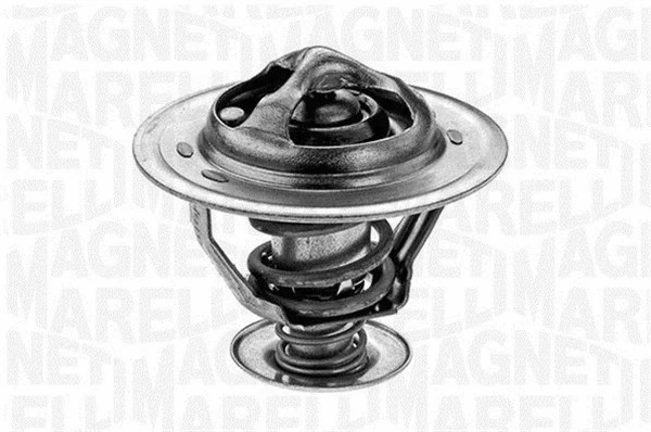 Thermostat, coolant (352029882000)