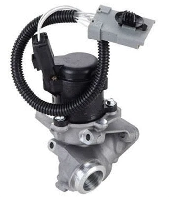 EGR Valve (359000604660)