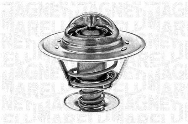 Thermostat, coolant (352023388000)