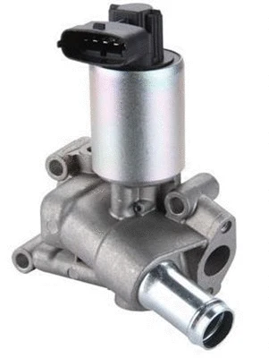 EGR Valve (359000604500)