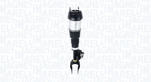 Air Suspension Strut (350030000001)