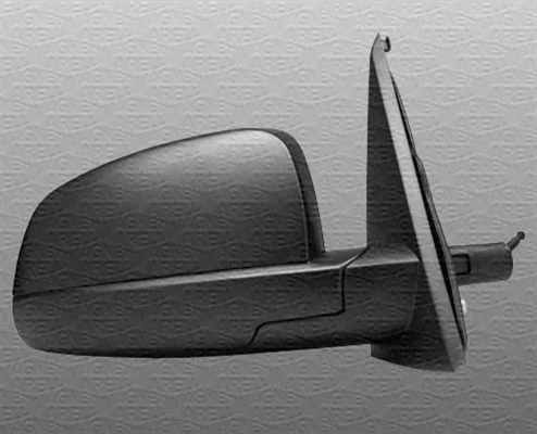 Exterior Mirror (351991117220)