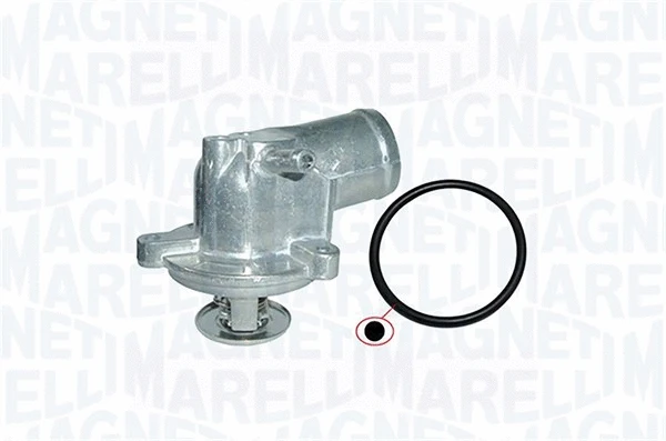 Thermostat, coolant (352317000670)
