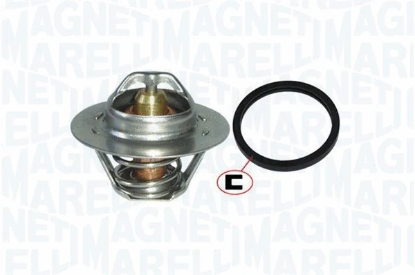 Thermostat, coolant (352317003950)