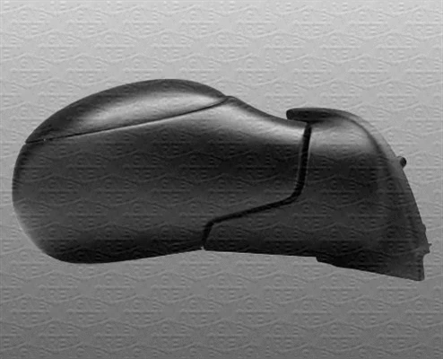 Exterior Mirror (351991117820)