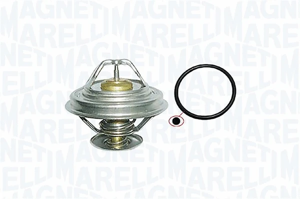 Thermostat, coolant (352317001160)