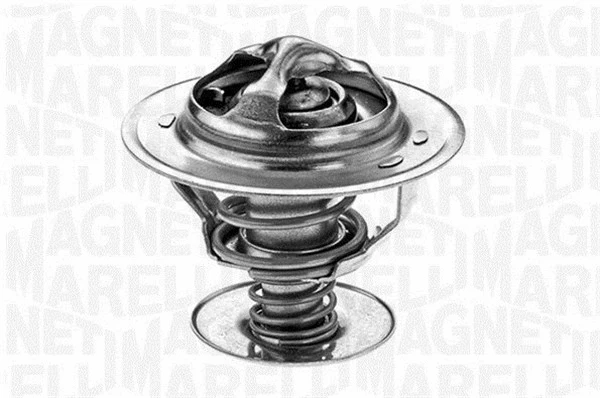 Thermostat, coolant (352032988000)