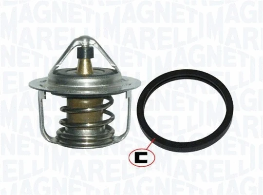 Thermostat, coolant (352317100770)