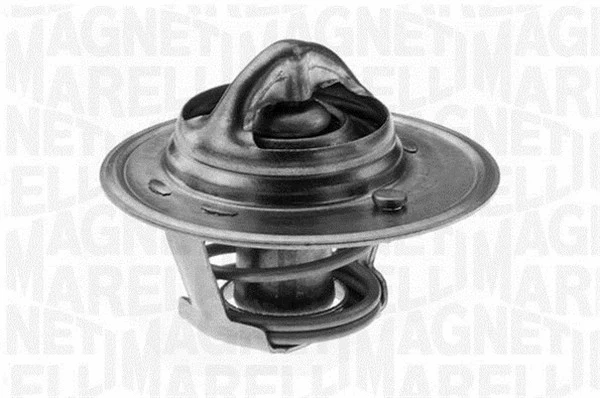 Thermostat, coolant (352056582000)