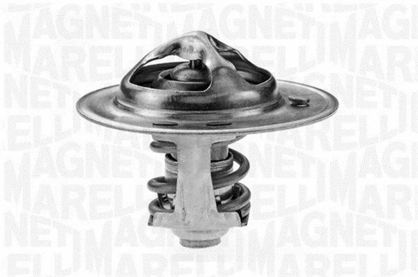 Thermostat, coolant (352020947700)