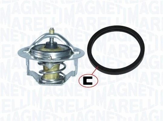 Thermostat, coolant (352317100840)