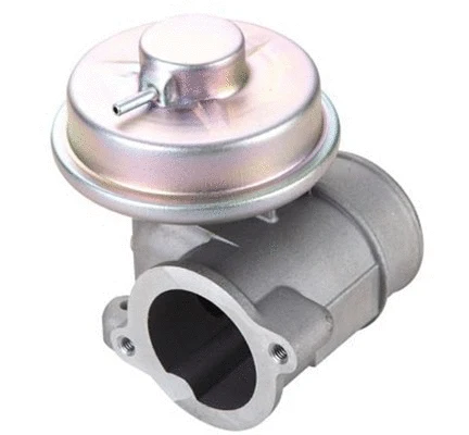EGR Valve (571822112111)