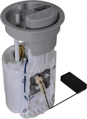 Fuel Supply Module (313011313029)