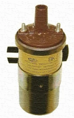 Ignition Coil (060690002010)