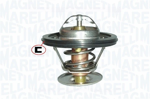 Thermostat, coolant (352317001180)