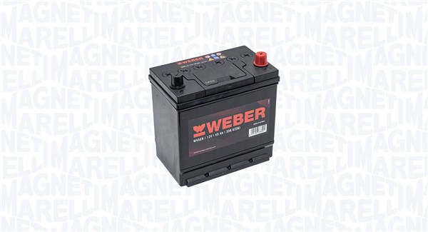 Starter Battery (067045330001)