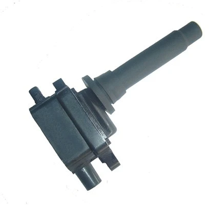 Ignition Coil (060717112012)