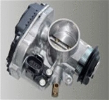 Throttle Body (359000602690)