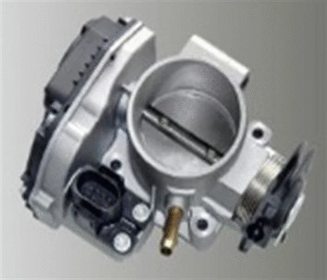 Throttle Body (359000602820)