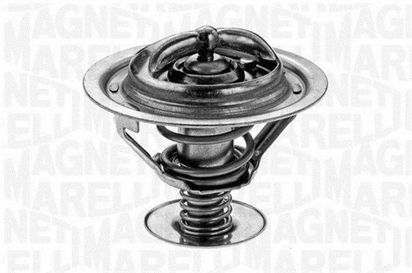 Thermostat, coolant (352033482000)