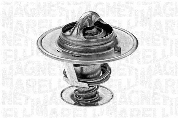 Thermostat, coolant (352023382100)