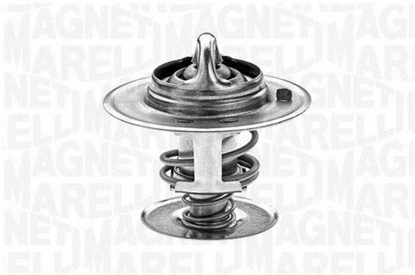 Thermostat, coolant (352027088000)
