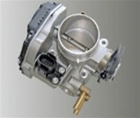Throttle Body (359000602790)