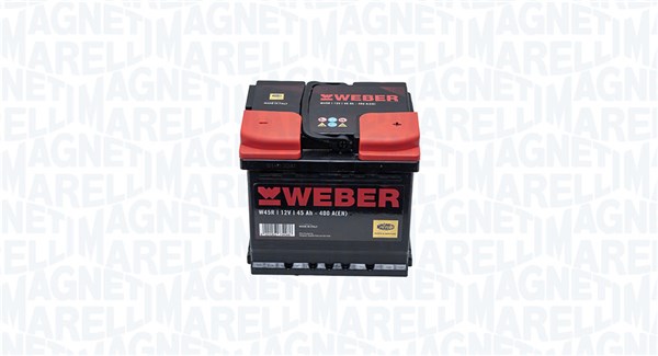 Starter Battery