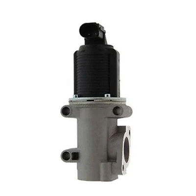 EGR Valve (571822112006)
