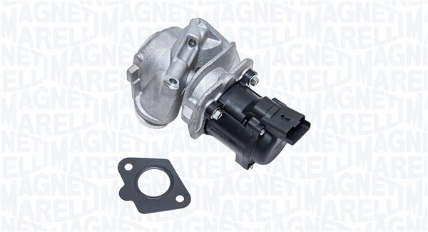 EGR Valve