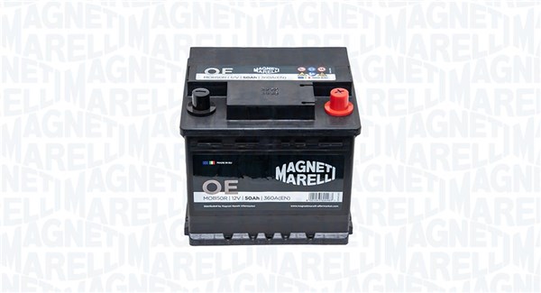 Starter Battery