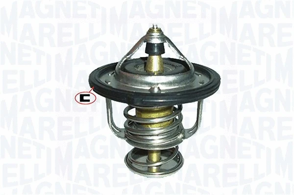 Thermostat, coolant (352317000750)