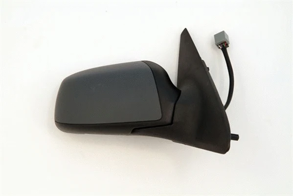 Exterior Mirror (351991119700)