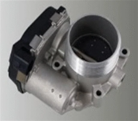 Throttle Body (359000602640)